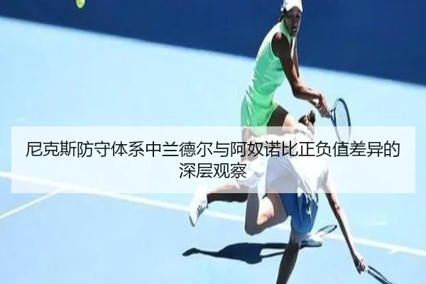 尼克斯防守体系中兰德尔与阿奴诺比正负值差异的深层观察